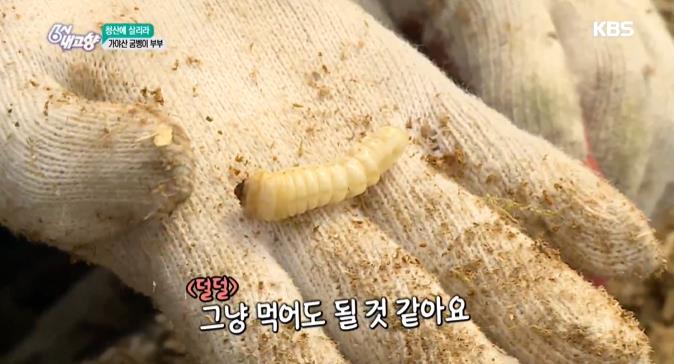 6시내고향 가야산굼벵이부부