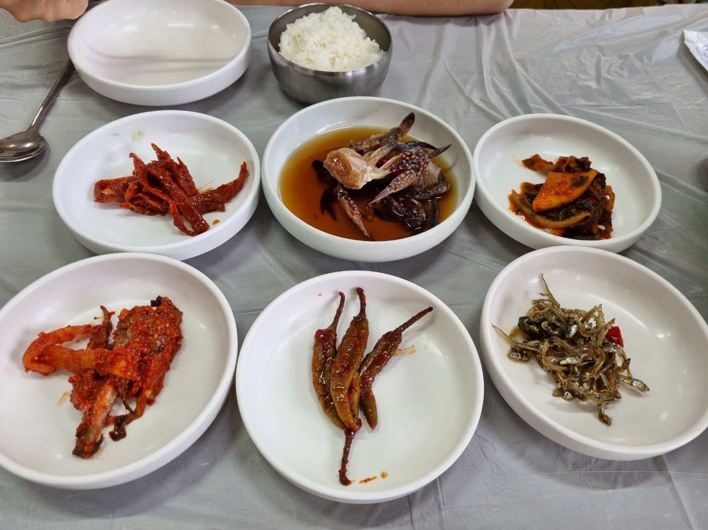 속초맛집