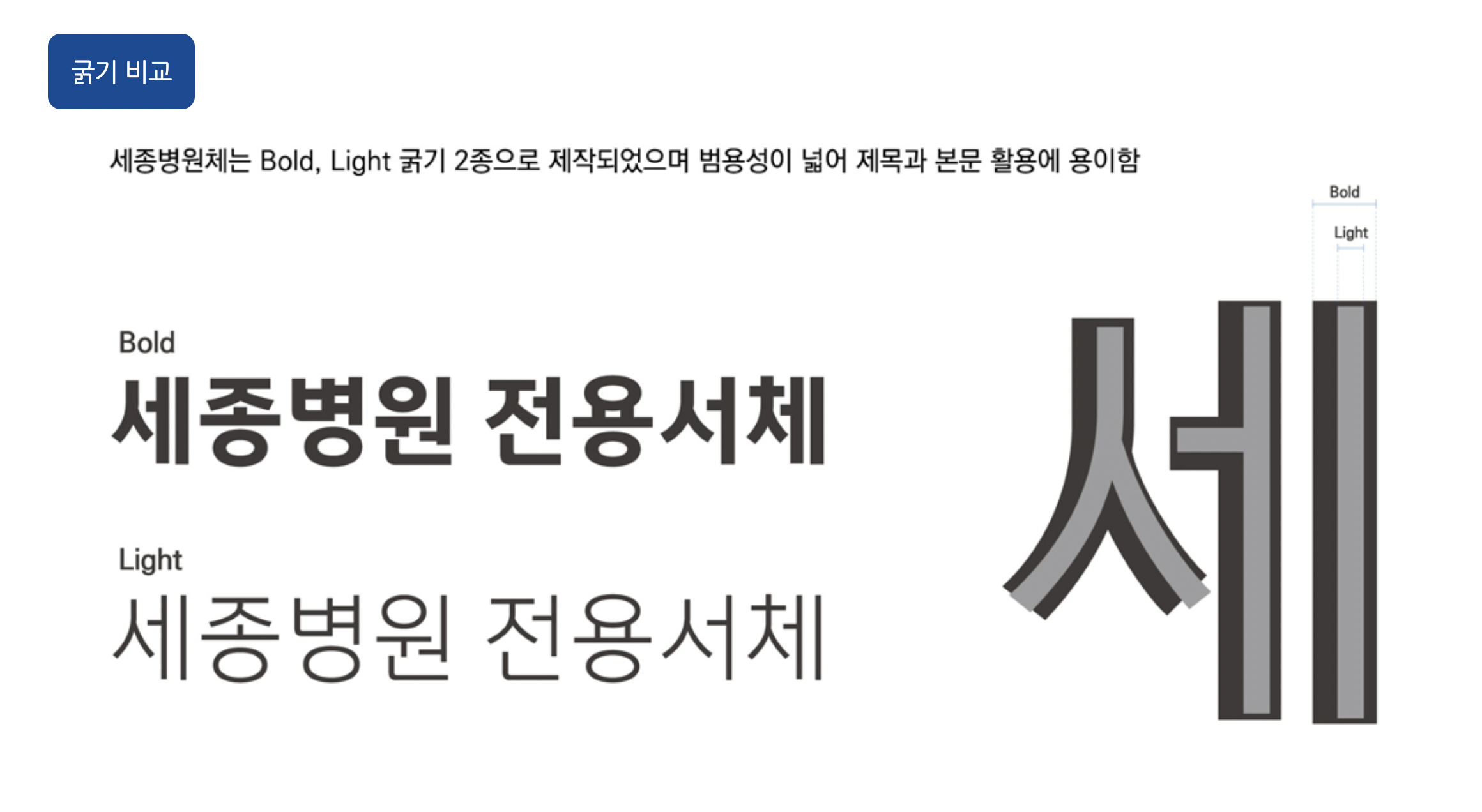 세종병원체 굵기 비교