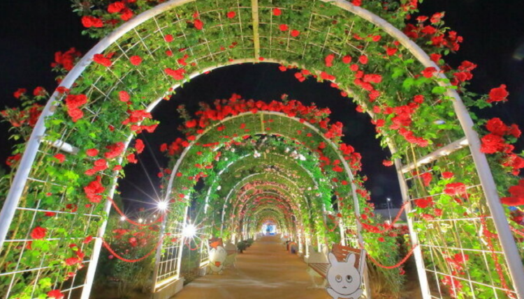 곡성 세계장미축제