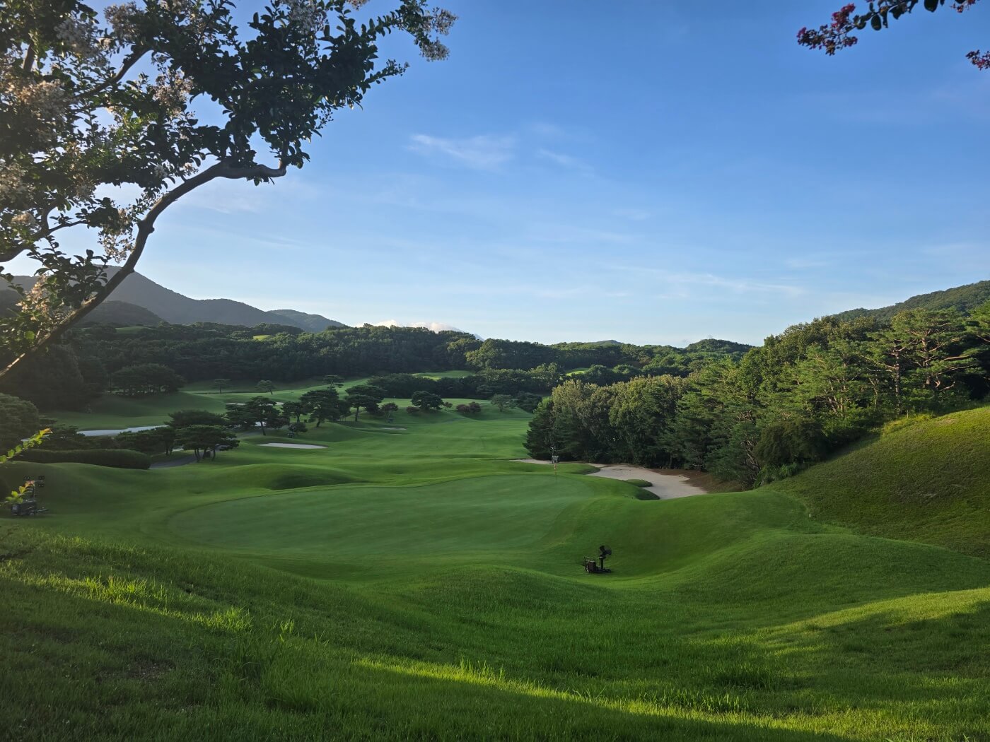 동부산 cc 코스 사진