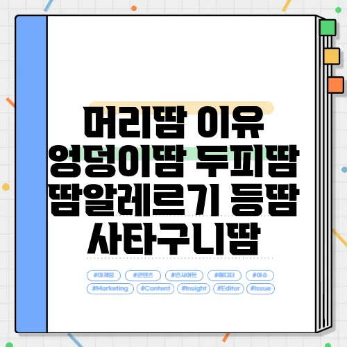 머리땀 이유 엉덩이땀 두피땀 땀알레르기 등땀 사타구니땀