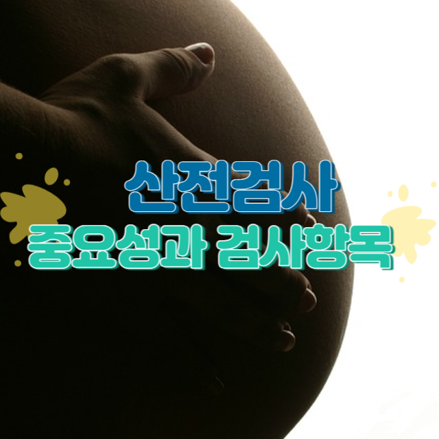 산전검사 중요성과 검사항목