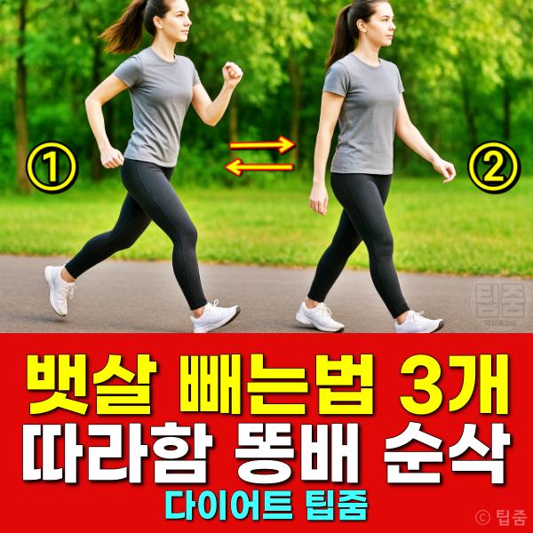 뱃살 빼는법 똥배 단기간 다이어트