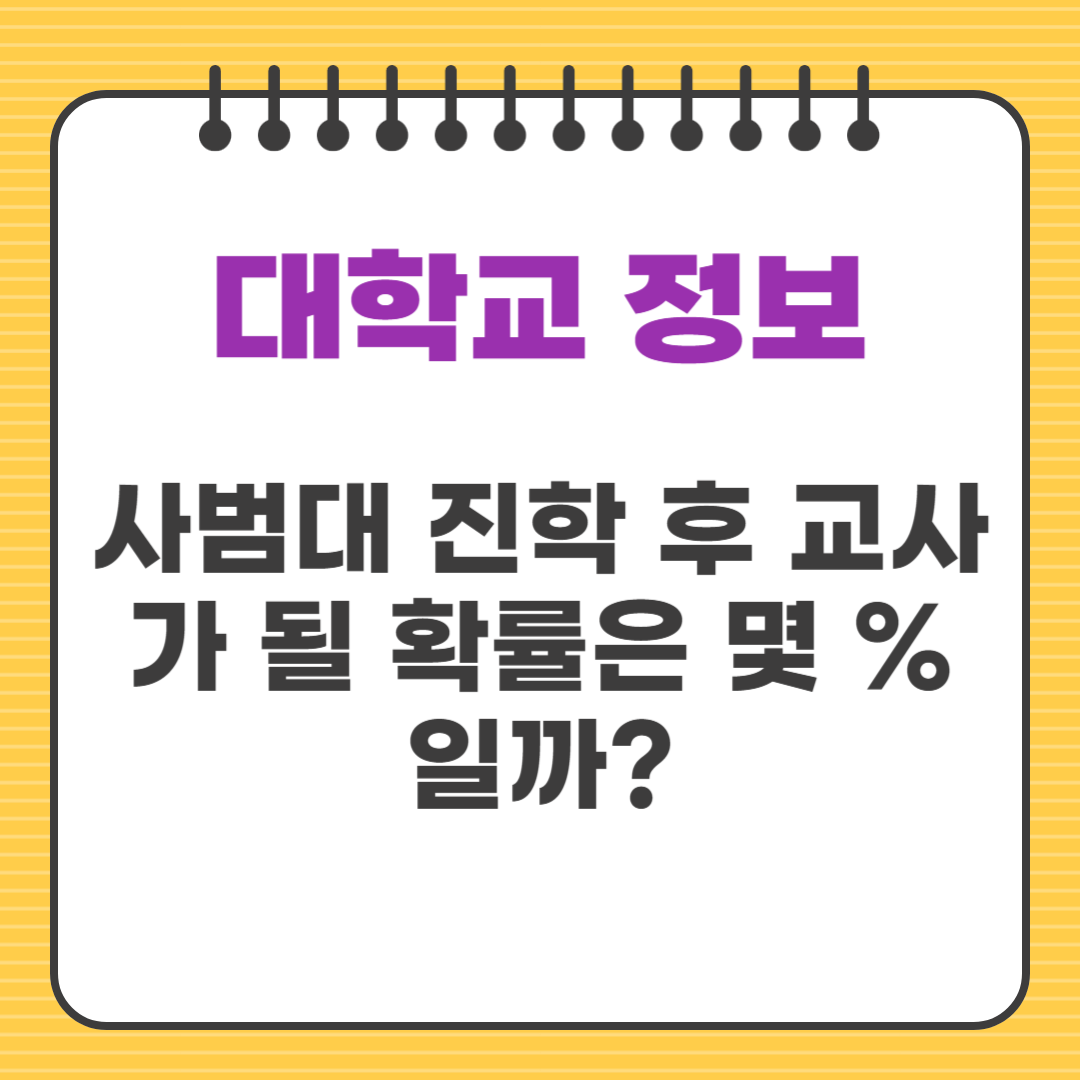 사범대 진학 후 교사가 될 확률은 몇 %일까?