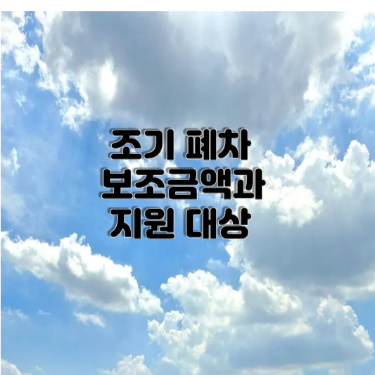 조기 폐차 보조금액