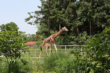 가정의 달 5월, 가족과 함께 떠나기 좋은 국내 여행지 추천 7곳