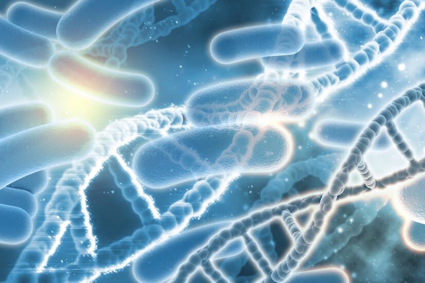 마이크로바이옴 이란?