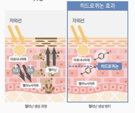 도미나크림 효과