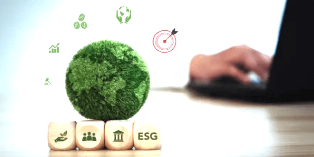 장기 투자자 관련 이미지