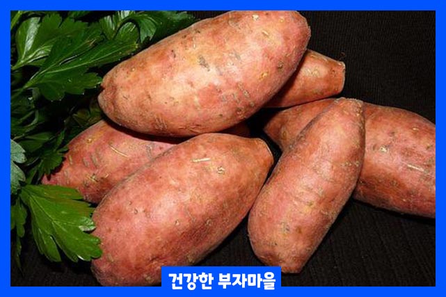고구마