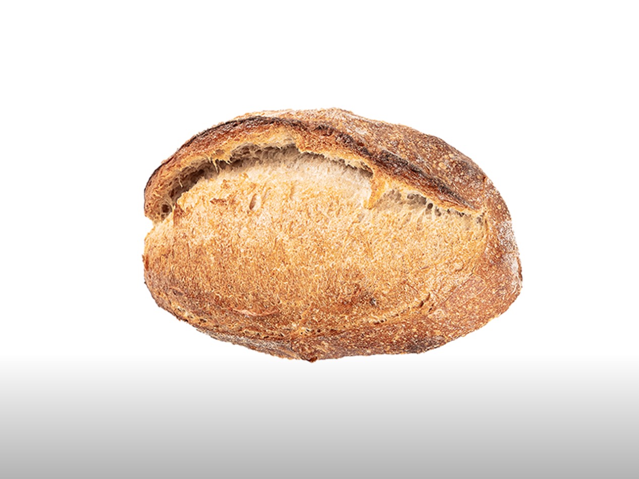 성북구 베이커리 카페 추천, 반려동물 동반 가능한 포틀리에