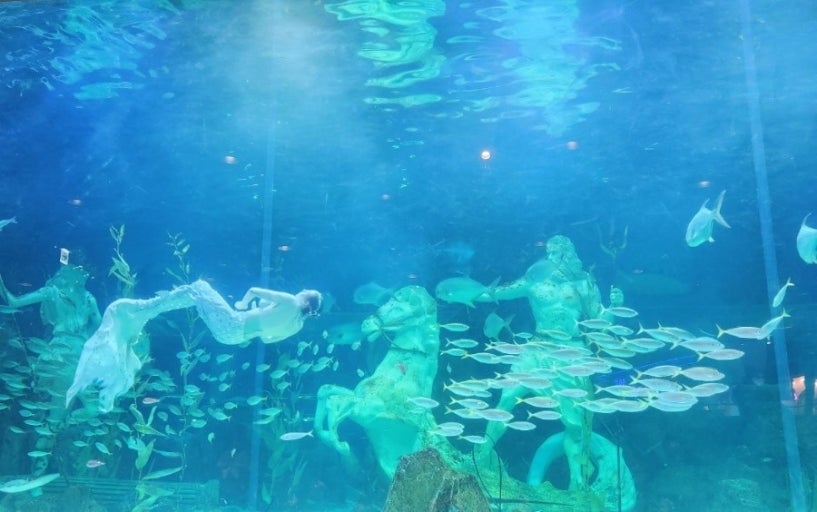 대전 아쿠아리움 관련 사진(네이버 블로그)