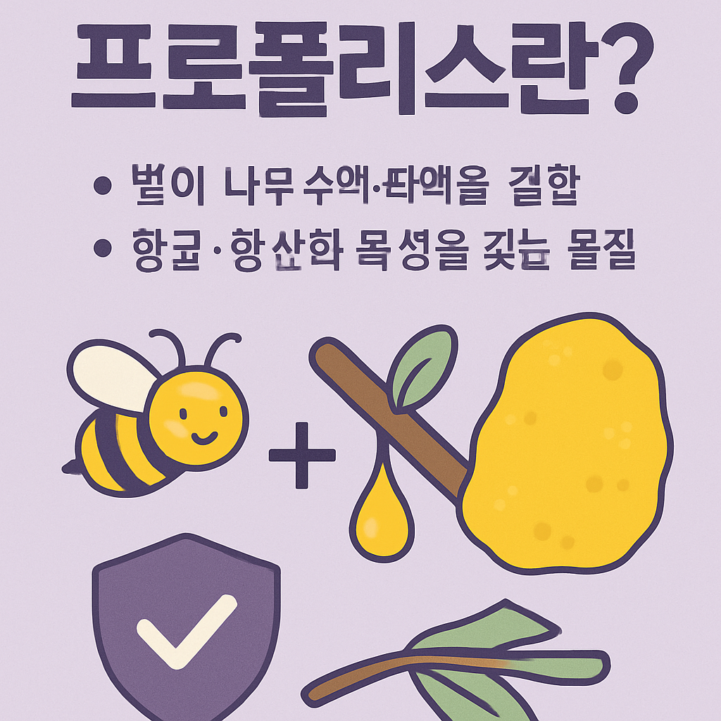 프로폴리스 효능