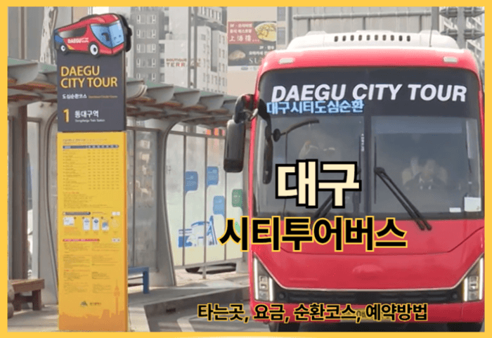 대구 시티투어버스