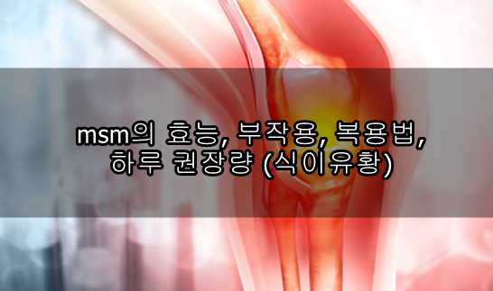 msm의 효능