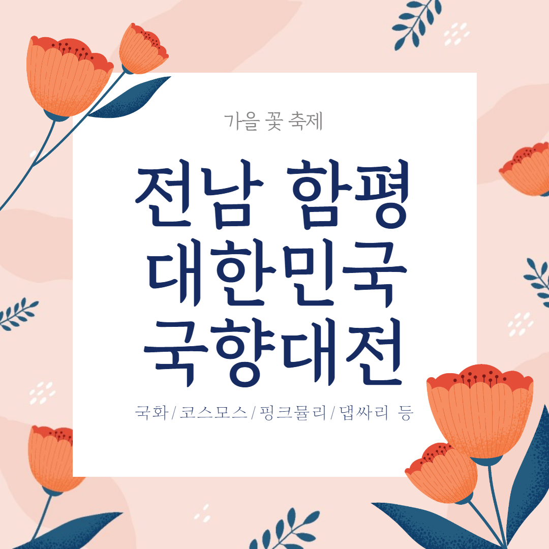전남 함평 대한민국 국향대전 가을축제