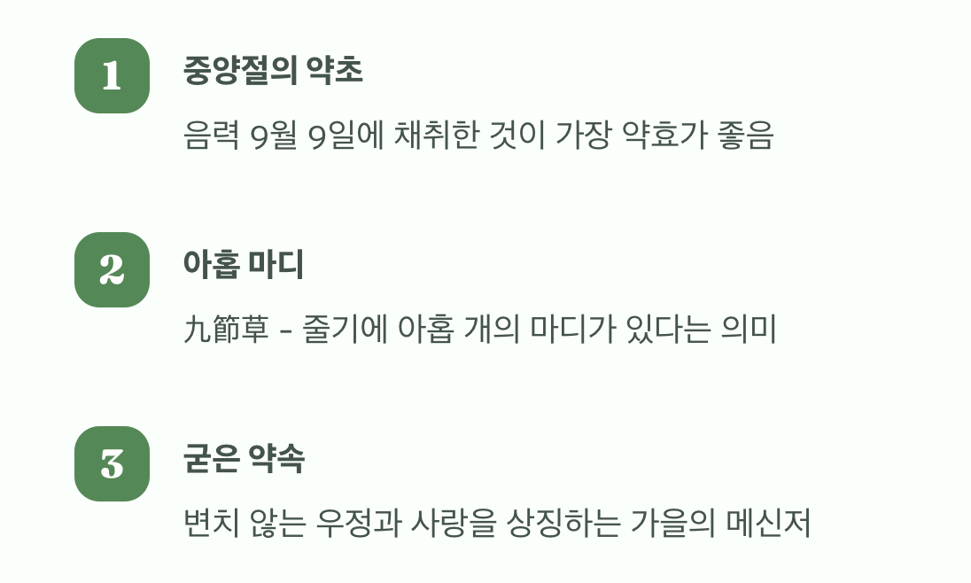 아홉 번 꺾이는 약속, 그 이름의 비밀