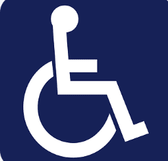 장애인 활동지원 급여 대상