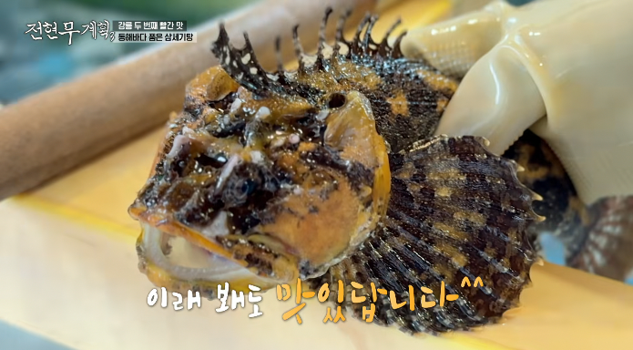 삼세기