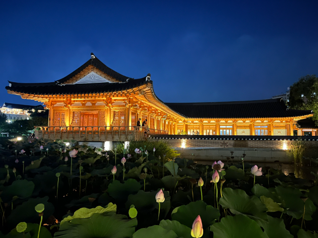 전주에서 ‘살기 편한 동네 vs 불편한 동네’ 정리 — 지도보다 생활 리듬이 먼저다