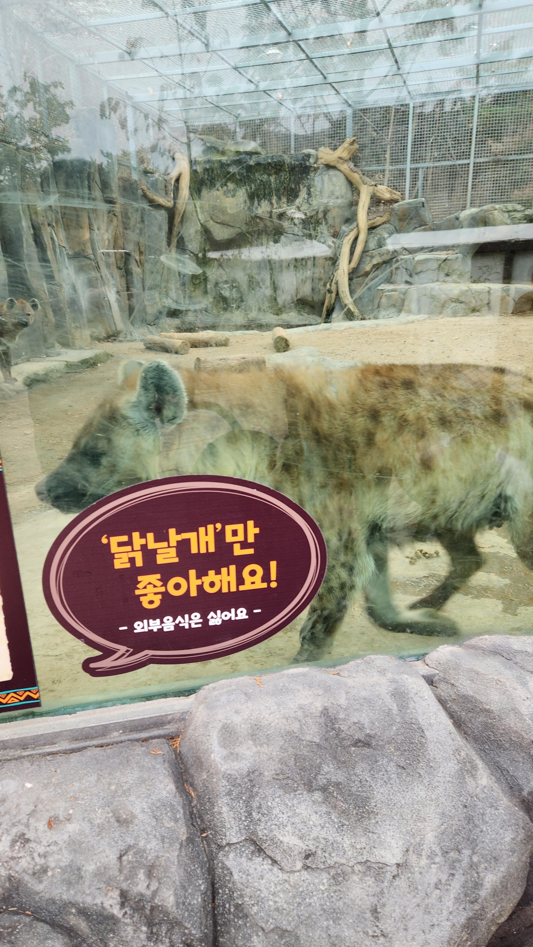 대구-네이처파크