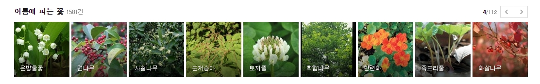 향기가 좋은 은방울꽃과 백합 등 순백의 아름다움을 가진 꽃들