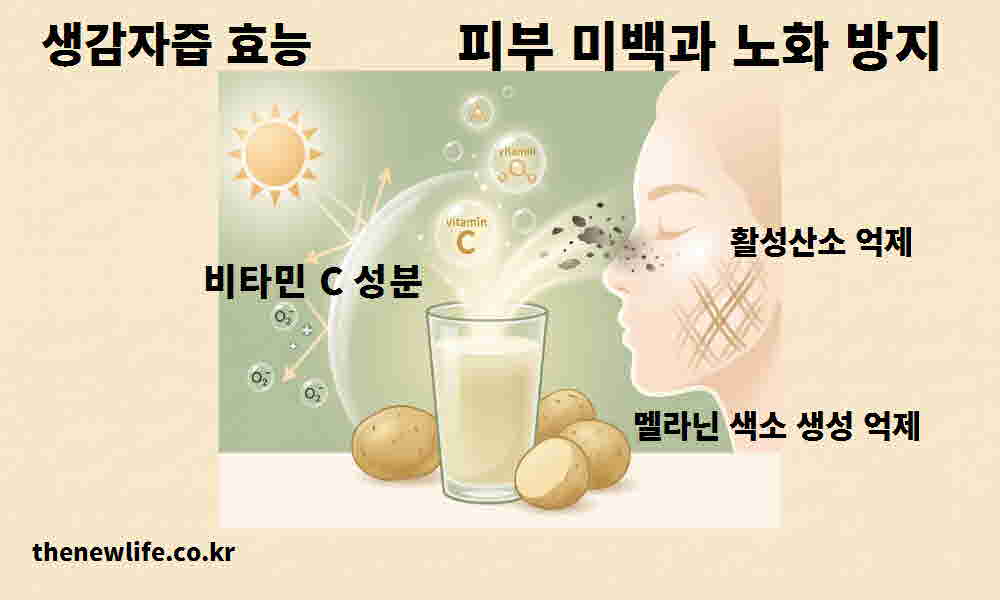 생감자즙 효능 피부 미백 노화 방지