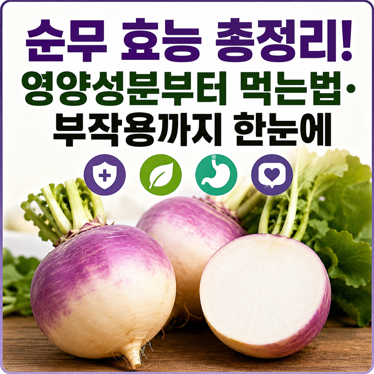 순무 효능