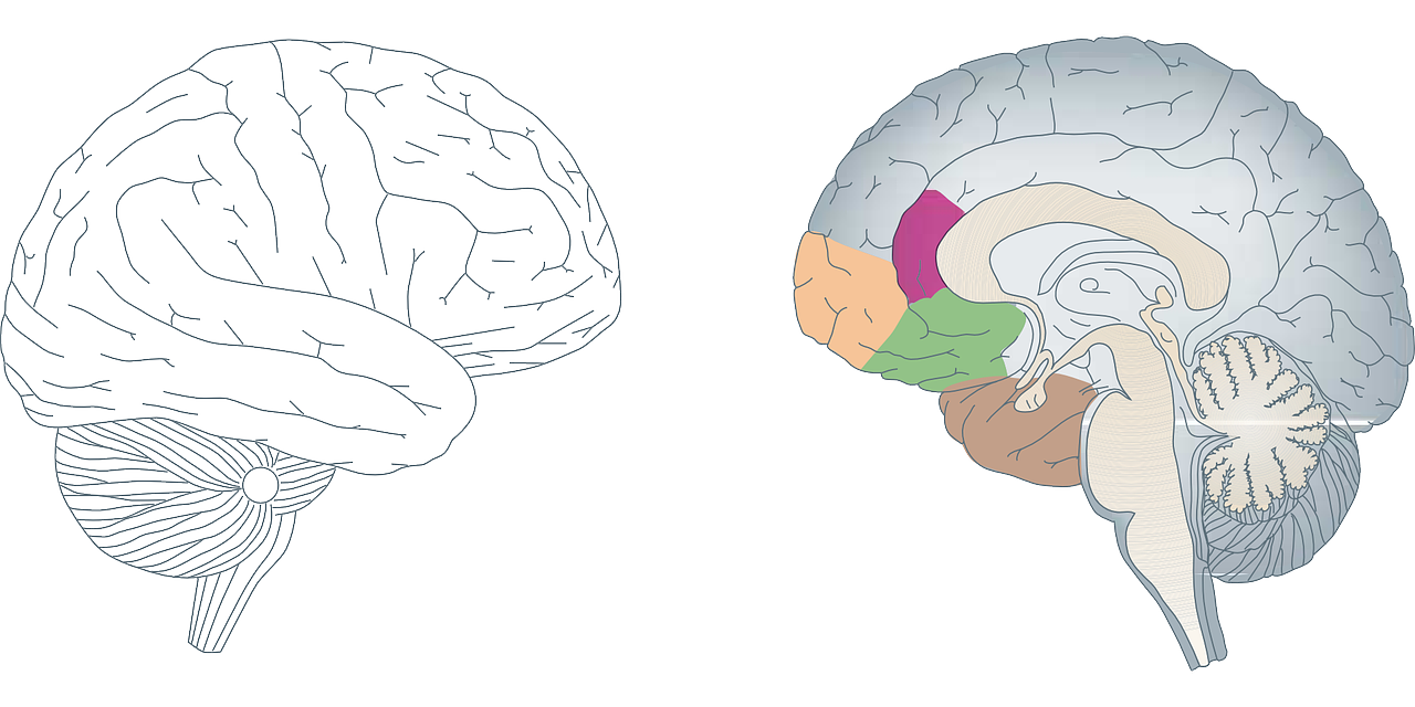 간질 증상에 따른 치료와 원인