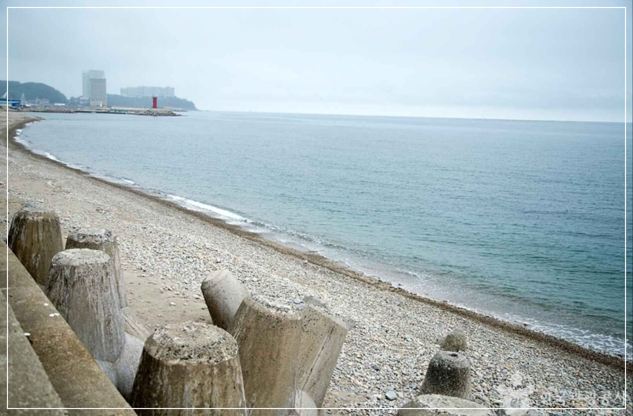 양양 가볼만한곳 베스트10 물치항