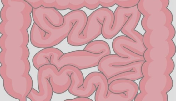 글루타민의 효능 효과와 L -글루타민 그리고 글루타민의 부작용