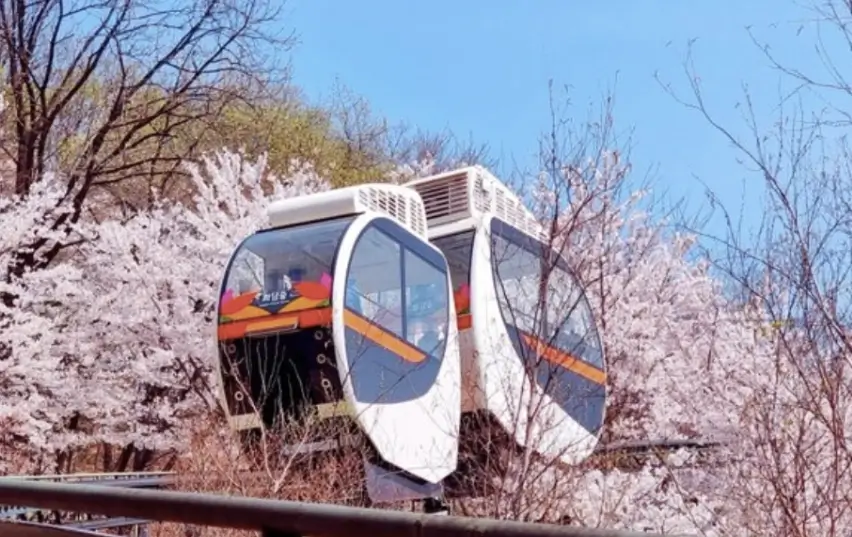 2025 화담숲 벚꽃 예약