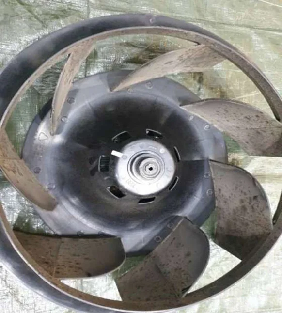 로이드밤 대연점