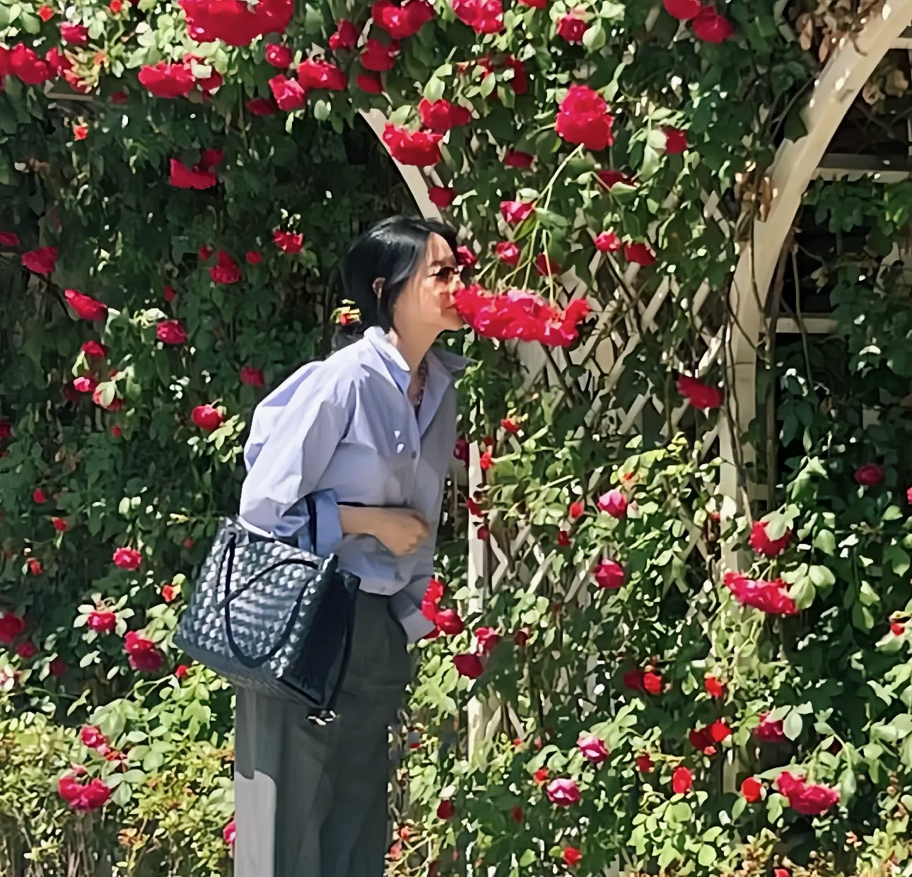 이영애 보테가, 이영애 보테가 베네타, 이영애 보테가 베네타 안디아모, 이영애 보테가 베네타 씨타백, 이영애 보테가 베네타 캄파나백, 보테가 베네타 가방, 보테가 베네타 스웨이드 백, 조용한 럭셔리 패션, 조용한 럭셔리 스타일, 4050 명품룩, 50대 명품 패션, 미니멀 명품백, 2025 가을 가방, 2025 패션 트렌드