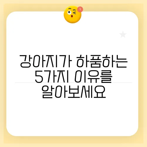 강아지가 하품하는 5가지 이유를 알아보세요