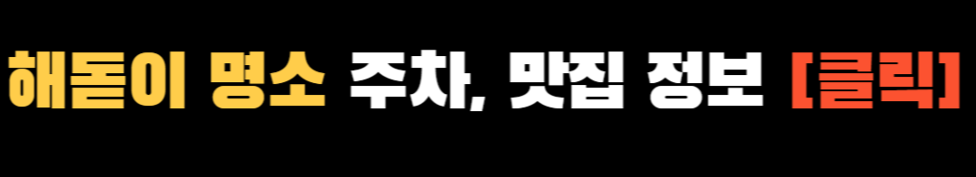 해돋이 명소 ❘ 일출 시간, 주차, 맛집 ❘ 2025년 전국 해돋이 명소 10곳 추천