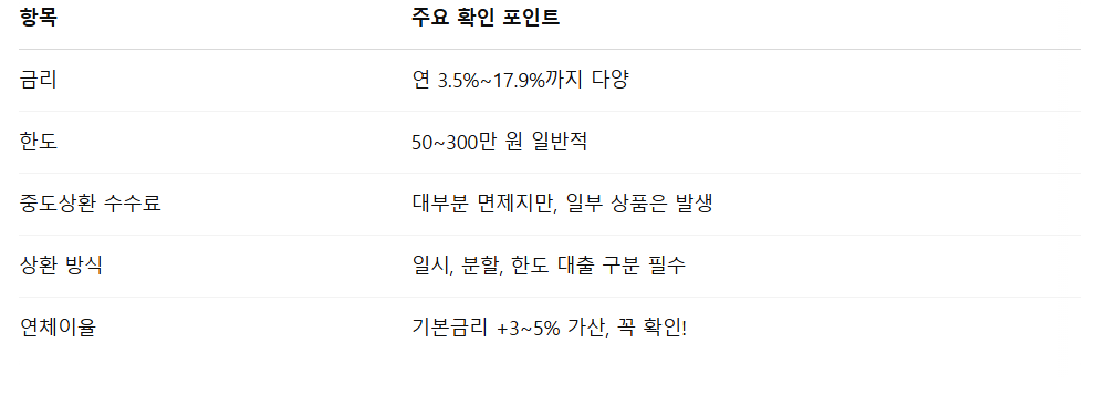 비상금 대출