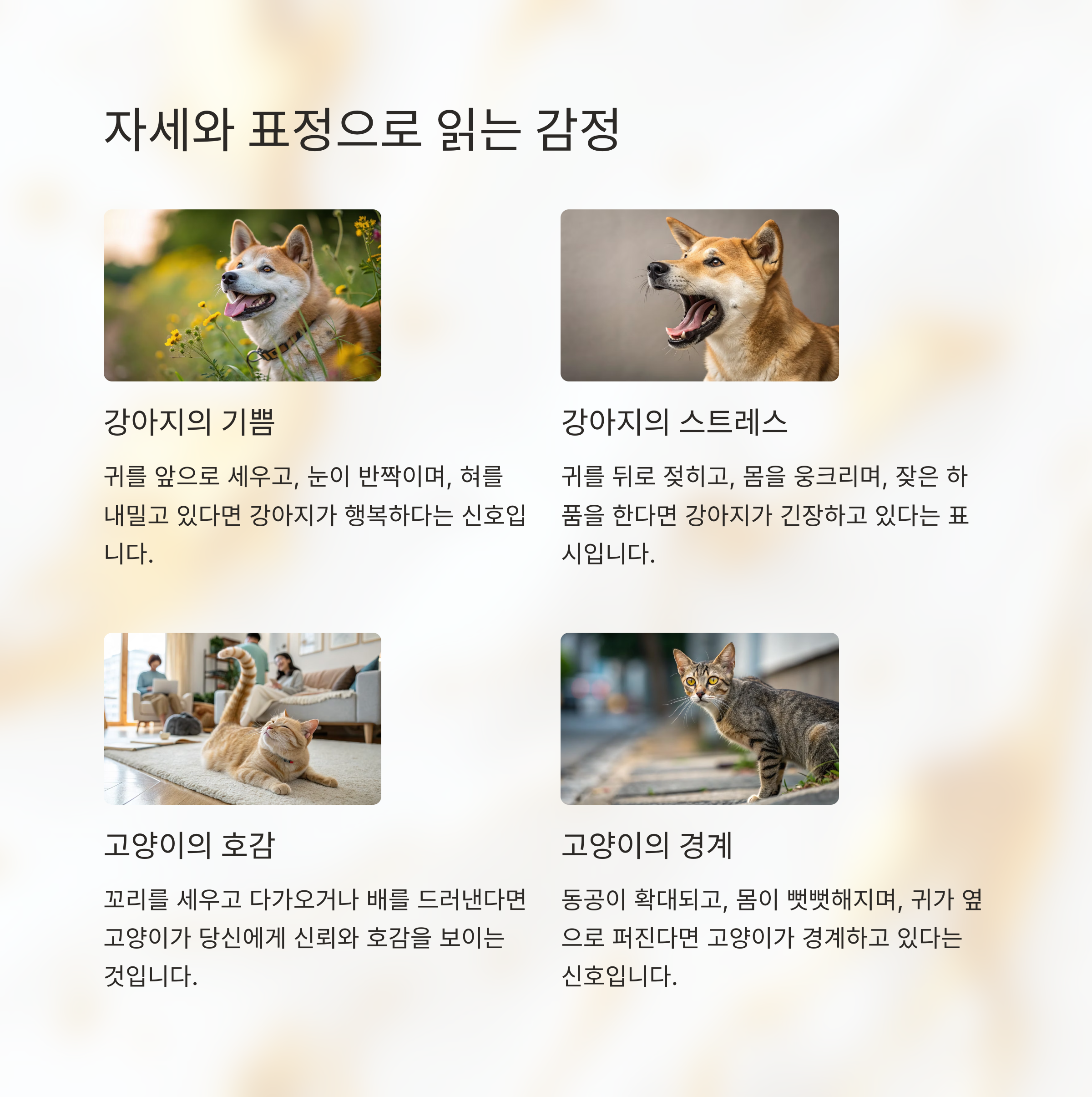 표정으로 읽는 감정