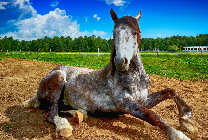 띠별 운세 10월 26일