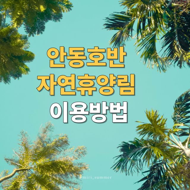 안동호반자연휴양림예약, 주차, 환불, 맛집, 여행지 총정리