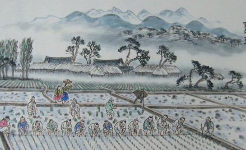 초복 중복 말복 의미