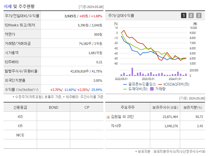 골프존뉴딘홀딩스_기업개요