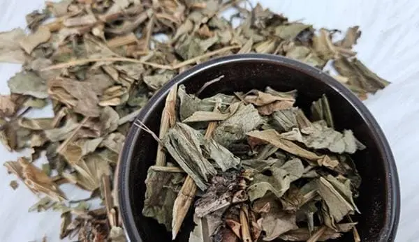 국내산 말린 삼백초