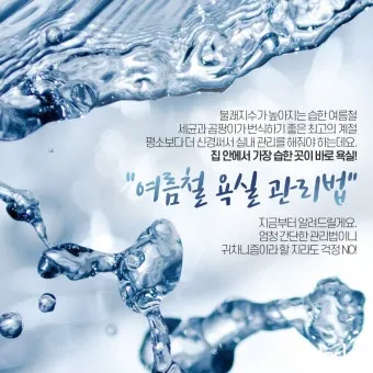 여름철 욕실 세균 곰팡이 청소 끝 관리법과 예방 팁 완벽 위생 가이드_25