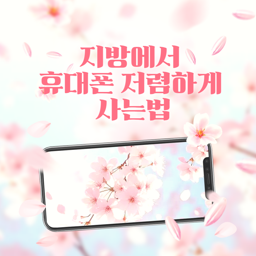 지방