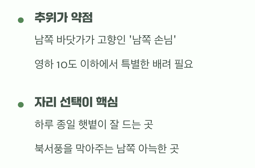 비결 1. 나무의 운명을 결정하는 '지역'과 '자리'