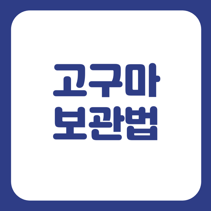 고구마 보관법