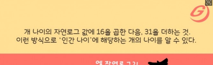 다양한 품종의 강아지들