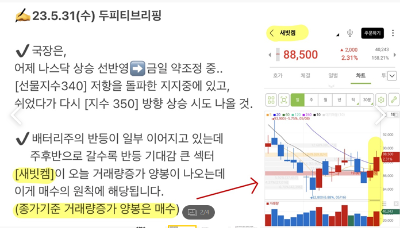 새빗켐차트 브리핑